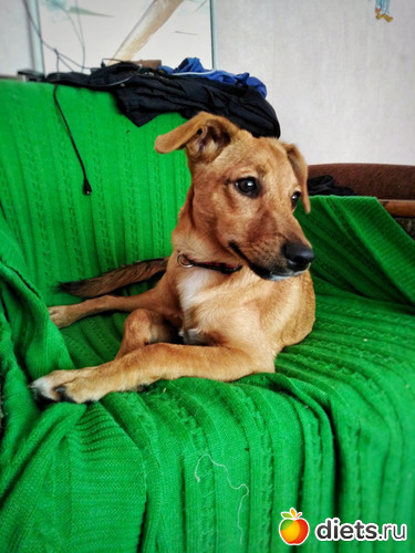 92 ����: ���