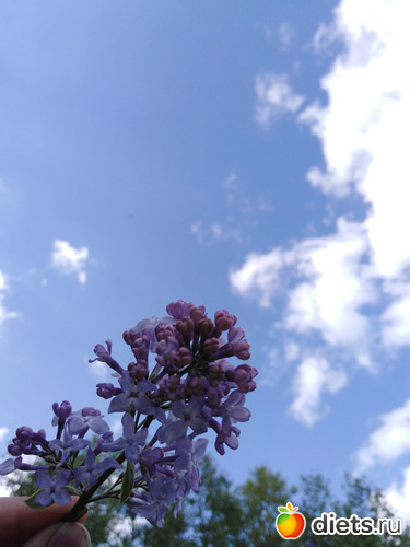 94 ����: ���