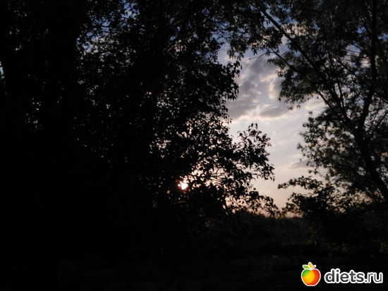 96 ����: ���