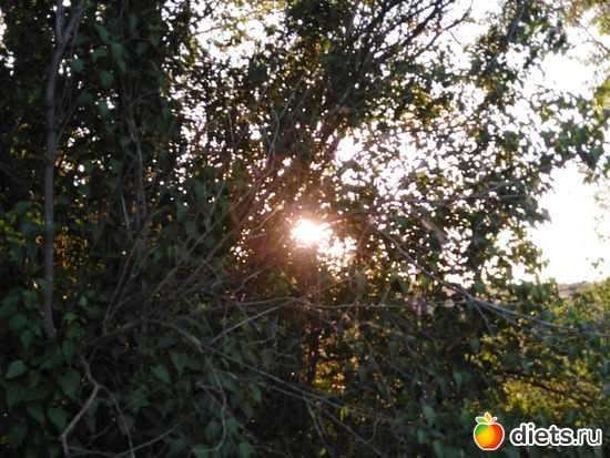 100 ����: ���