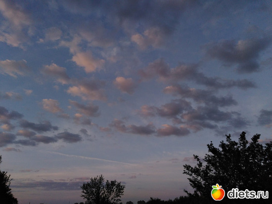 102 ����: ���