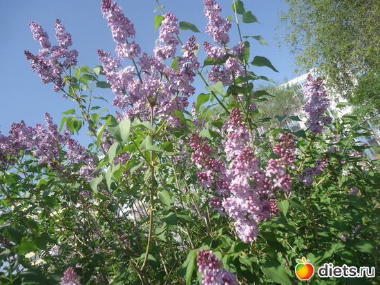 9 фото: Просто так