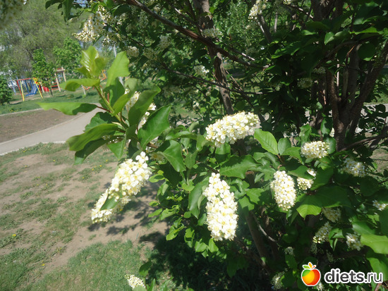 11 ����: ������ ���