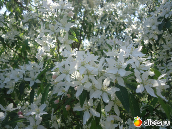 13 фото: Просто так