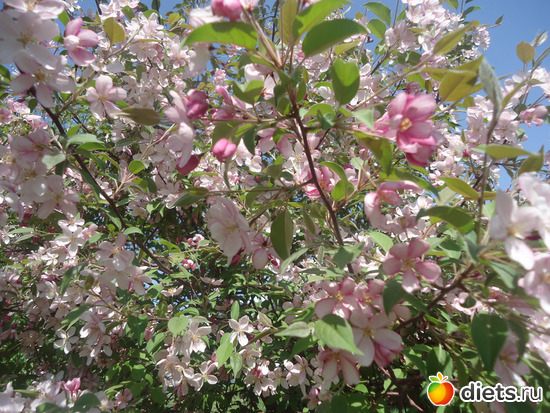 15 фото: Просто так