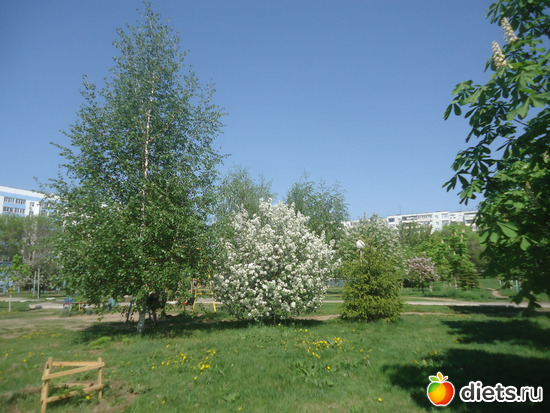 18 фото: Просто так