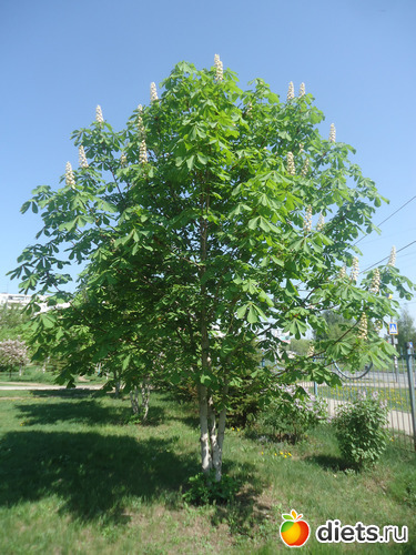 20 фото: Просто так