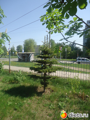 21 фото: Просто так