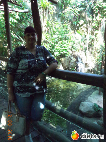 6 ����: ������ ����