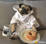 ��������, ��������,"����������" � ����-���. ��� ��������� ����� ������ ��, ����������� �� ����� �����-��� ������ � ��������  ������� � �������