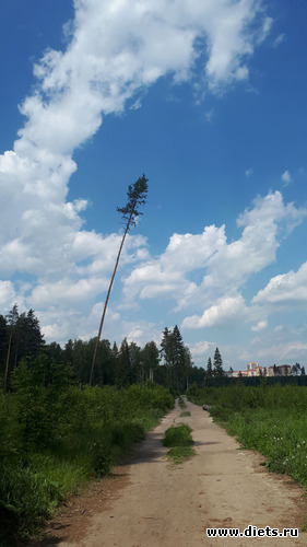 дорога к озеру, альбом: Королев 28 мая 2019