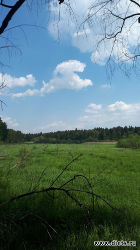 2 фото: Королев 28 мая 2019