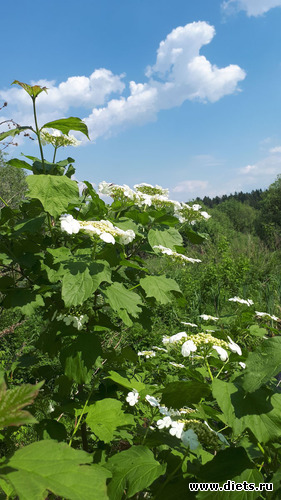 3 фото: Королев 28 мая 2019