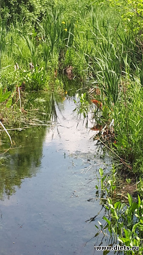 4 ����: ������� 28 ��� 2019