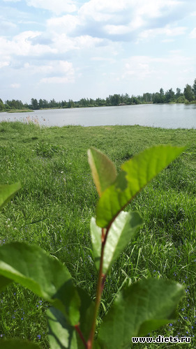 5 фото: Королев 28 мая 2019