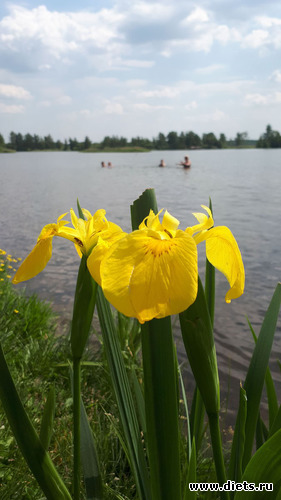 6 ����: ������� 28 ��� 2019