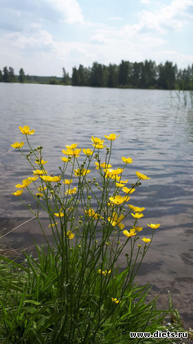 7 фото: Королев 28 мая 2019