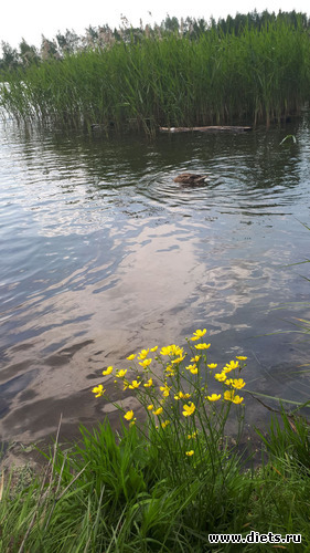 8 ����: ������� 28 ��� 2019