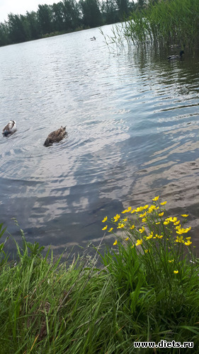 9 ����: ������� 28 ��� 2019