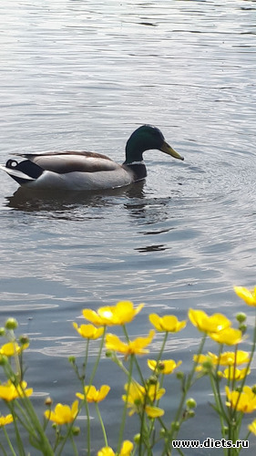 10 фото: Королев 28 мая 2019