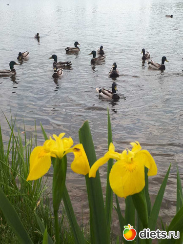 11 фото: Королев 28 мая 2019