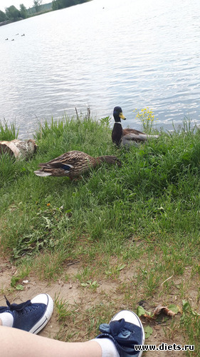 12 фото: Королев 28 мая 2019