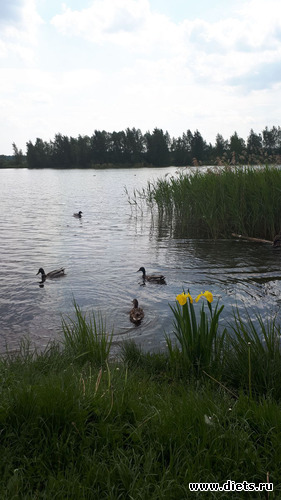 13 фото: Королев 28 мая 2019