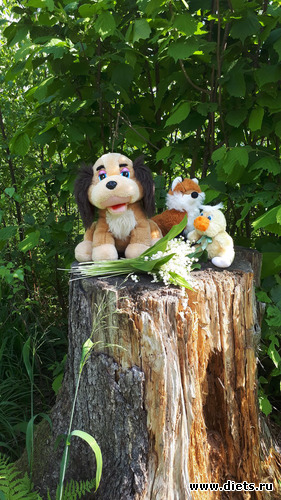 на обратном пути, альбом: Королев 28 мая 2019