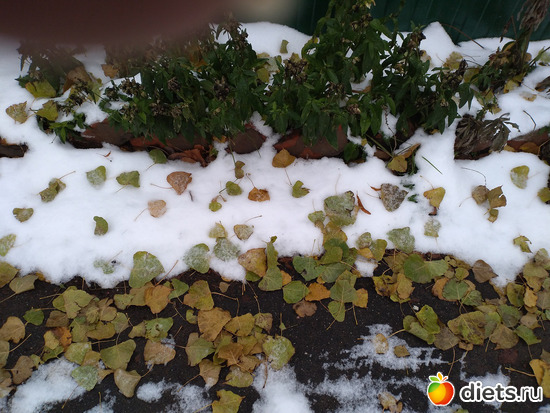 8 фото: По пути