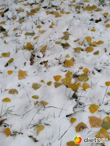 11 фото: По пути