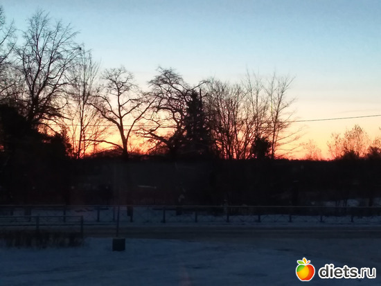 12 фото: По пути