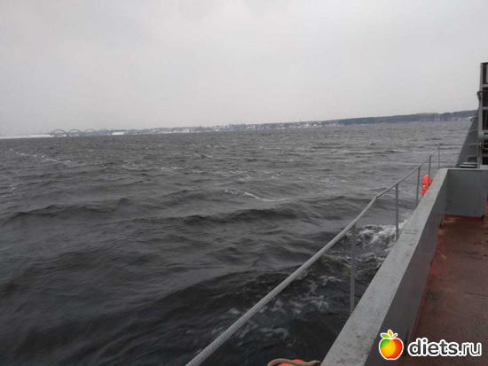 1 фото: 03.11.19