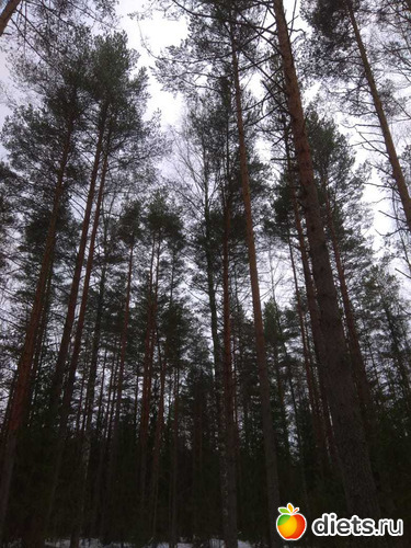 3 фото: 03.11.19