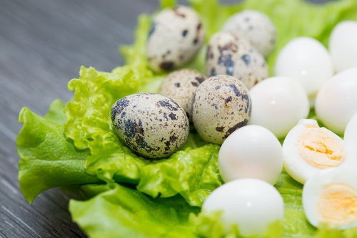 Польза перепелиных яиц при похудении