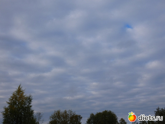 4 фото: Конец сентября2019