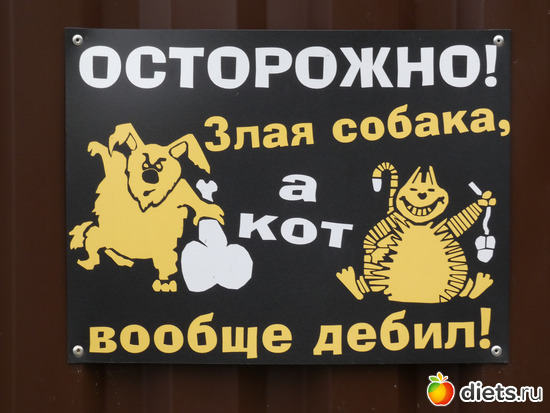 5 фото: Конец сентября2019