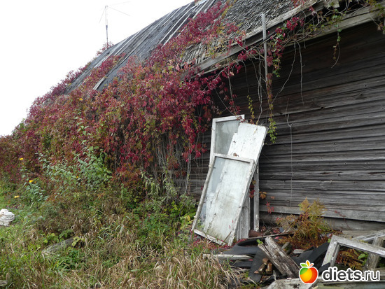 7 ����: ����� ��������2019