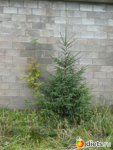 8 фото: Конец сентября2019