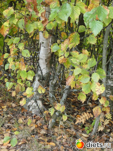 10 ����: ����� ��������2019