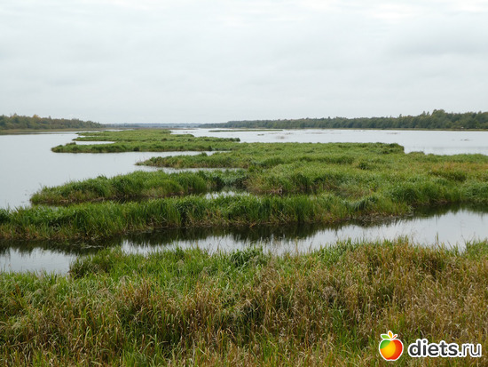 11 ����: ����� ��������2019