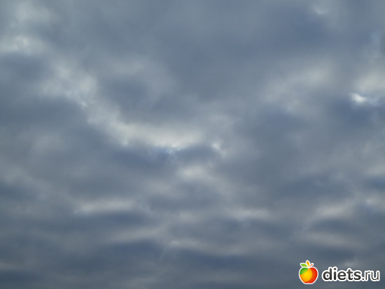 12 ����: ����� ��������2019