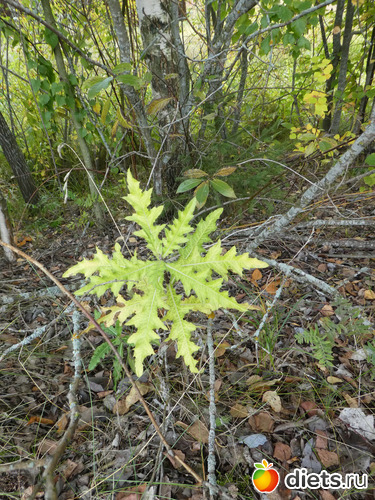 14 ����: ����� ��������2019