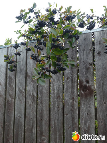 15 фото: Конец сентября2019