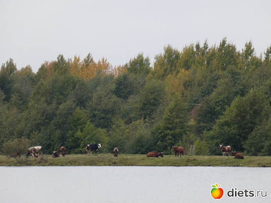 16 фото: Конец сентября2019