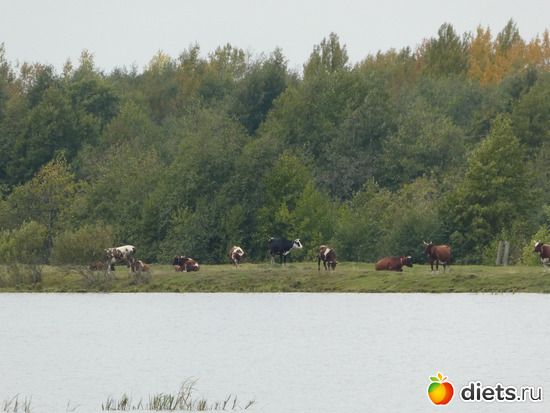 17 фото: Конец сентября2019