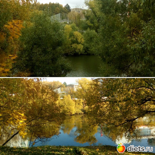 Такая разная осень разницей в год., альбом: Мои фото