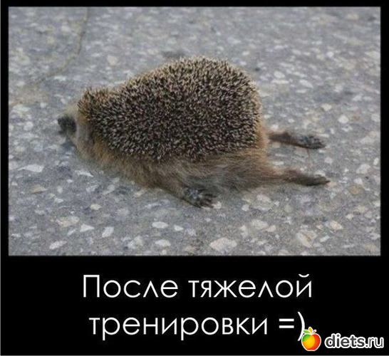 1 ����: ����� � �������������