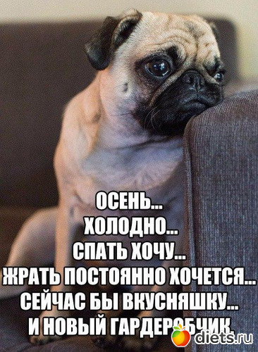 2 ����: ����� � �������������