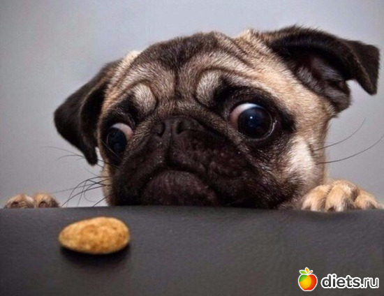 5 ����: ����� � �������������