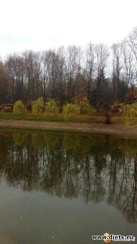 ������� ��������..., ������: ��� ����